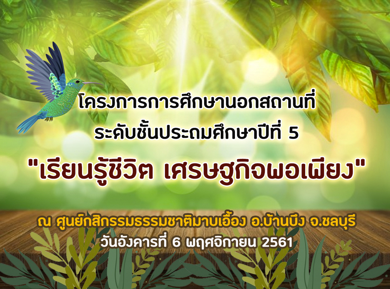 5 มาบเออง2
