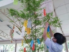 เทศกาลทานาบาตะ (Tanabata) 2022 Image 126