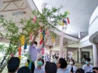 เทศกาลทานาบาตะ (Tanabata) 2022 Image 131