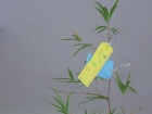 เทศกาลทานาบาตะ (Tanabata) 2022 Image 5