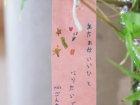 เทศกาลทานาบาตะ (Tanabata) 2022 Image 7