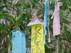 เทศกาลทานาบาตะ (Tanabata) 2022 Image 96