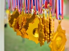 กีฬาสีสัมพันธ์ ครั้งที่ 16 (กรีฑา) Image 1