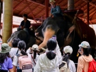 โครงการแลกเปลี่ยนภาษาและวัฒนธรรม Yucai No.7 Middle School, C ... Image 308