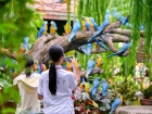 โครงการแลกเปลี่ยนภาษาและวัฒนธรรม Yucai No.7 Middle School, C ... Image 311