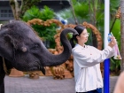 โครงการแลกเปลี่ยนภาษาและวัฒนธรรม Yucai No.7 Middle School, C ... Image 312