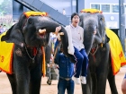 โครงการแลกเปลี่ยนภาษาและวัฒนธรรม Yucai No.7 Middle School, C ... Image 320