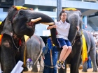 โครงการแลกเปลี่ยนภาษาและวัฒนธรรม Yucai No.7 Middle School, C ... Image 321