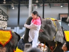 โครงการแลกเปลี่ยนภาษาและวัฒนธรรม Yucai No.7 Middle School, C ... Image 324