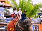 โครงการแลกเปลี่ยนภาษาและวัฒนธรรม Yucai No.7 Middle School, C ... Image 330
