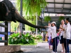 โครงการแลกเปลี่ยนภาษาและวัฒนธรรม Yucai No.7 Middle School, C ... Image 331