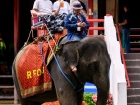 โครงการแลกเปลี่ยนภาษาและวัฒนธรรม Yucai No.7 Middle School, C ... Image 335