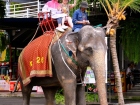 โครงการแลกเปลี่ยนภาษาและวัฒนธรรม Yucai No.7 Middle School, C ... Image 336