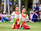 งานประจำปี ครั้งที่ 19 "การแสดงรำปะหน้า และการแสดงโขน" Image 35