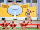งานประจำปี ครั้งที่ 19 "การแสดงรำปะหน้า และการแสดงโขน" Image 255