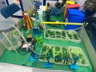 ขอแสดงความยินดีกับนักเรียนที่ได้รับรางวัลจากการแข่งขันหุ่นยน ... Image 33