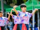งานประจำปี ครั้งที่ 19 &quot;การแสดงกลางแจ้ง&quot; Image 327