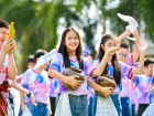 งานประจำปี ครั้งที่ 19 &quot;การแสดงกลางแจ้ง&quot; Image 371
