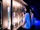 โครงการการศึกษานอกสถานที่ ระดับชั้นม.6 มารยาทการรับประทานอาห ... Image 252