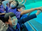 โครงการการศึกษานอกสถานที่ ป.2 &quot;ตำนานวัดใหญ่ฯ เพลินใจพิพิธภัณ ... Image 5