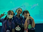 โครงการการศึกษานอกสถานที่ ป.2 &quot;ตำนานวัดใหญ่ฯ เพลินใจพิพิธภัณ ... Image 13