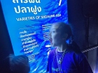 โครงการการศึกษานอกสถานที่ ป.2 &quot;ตำนานวัดใหญ่ฯ เพลินใจพิพิธภัณ ... Image 61