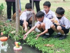 นักเรียนระดับชั้น ป.3 เรียนรู้ผ่านกิจกรรม “ตลาดนัดลอยฟ้า” Image 70
