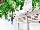 การฉีดพ่นหมอกควันกำจัดยุง เตรียมความพร้อมก่อนเปิดภาคเรียน ปี ... Image 23