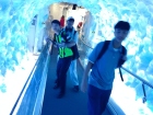 โครงการเรียนภาษาอังกฤษแบบเข้ม ณ Wentworth College &amp; Primary, ... Image 280