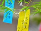 เทศกาลทานาบาตะ (Tanabata) 2025 Image 85