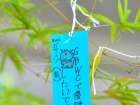 เทศกาลทานาบาตะ (Tanabata) 2025 Image 87