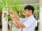 เทศกาลทานาบาตะ (Tanabata) 2025 Image 89