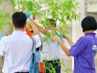 เทศกาลทานาบาตะ (Tanabata) 2025 Image 90