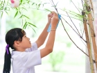 เทศกาลทานาบาตะ (Tanabata) 2025 Image 106