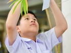 เทศกาลทานาบาตะ (Tanabata) 2025 Image 108