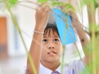 เทศกาลทานาบาตะ (Tanabata) 2025 Image 111