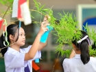 เทศกาลทานาบาตะ (Tanabata) 2025 Image 112