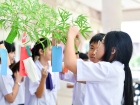 เทศกาลทานาบาตะ (Tanabata) 2025 Image 120