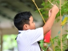 เทศกาลทานาบาตะ (Tanabata) 2025 Image 125