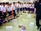 กิจกรรม &quot;AI เพื่อนใหม่ของเรา : มารู้จักโลกของหุ่นยนต์อัจฉริย ... Image 88