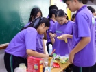 การประกวดการแสดงทำอาหารภาษาอังกฤษ (Junior Cooking Show) ระดั ... Image 94