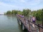 โครงการการศึกษานอกสถานที่ “ป.2 เพลิดเพลินใจศึกษาธรรมชาติที่ป ... Image 26