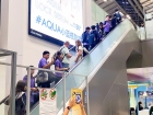 โครงการเรียนภาษาอังกฤษแบบเข้ม ณ Macquarie Education Group, A ... Image 113