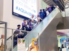 โครงการเรียนภาษาอังกฤษแบบเข้ม ณ Macquarie Education Group, A ... Image 114