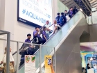 โครงการเรียนภาษาอังกฤษแบบเข้ม ณ Macquarie Education Group, A ... Image 115