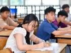 โครงการส่งเสริมความถนัด ความสนใจ และความสามารถพิเศษ ภาคต้น ป ... Image 116