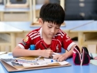 โครงการส่งเสริมความถนัด ความสนใจ และความสามารถพิเศษ ภาคต้น ป ... Image 274