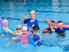 โครงการส่งเสริมความถนัด ความสนใจ และความสามารถพิเศษ ภาคต้น ป ... Image 456