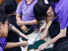 บรรยากาศการทำพานไหว้ครู ปีการศึกษา 2569 Image 119
