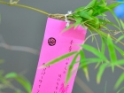 เทศกาลทานาบาตะ (Tanabata) 2026 Image 31